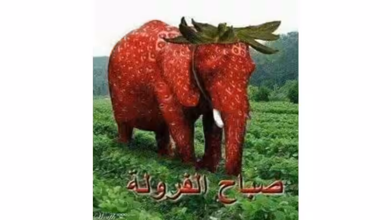 arabic-strawberry-elephant