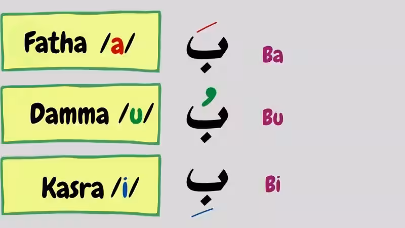 Short Vowels in the Arabic Language: A Beginner's Guide