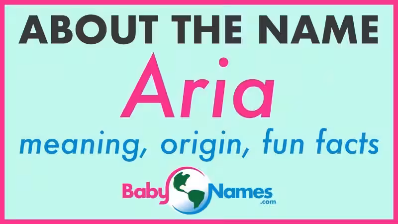 aria-name-meaning-in-arabic