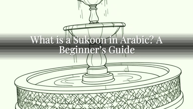 What is a Sukoon in Arabic? A Beginner’s Guide