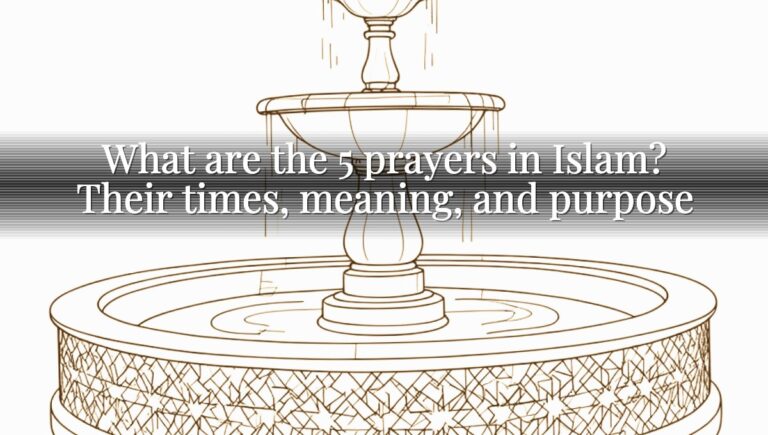 What are the 5 prayers in Islam? Their times, meaning, and purpose What are the 5 prayers in Islam? Their times, meaning, and purpose