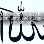 73 sects in islam: A respectful guide to division, unity, and staying on the straight path
