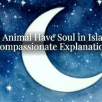 Does Animal Have Soul in Islam? A Compassionate Explanation